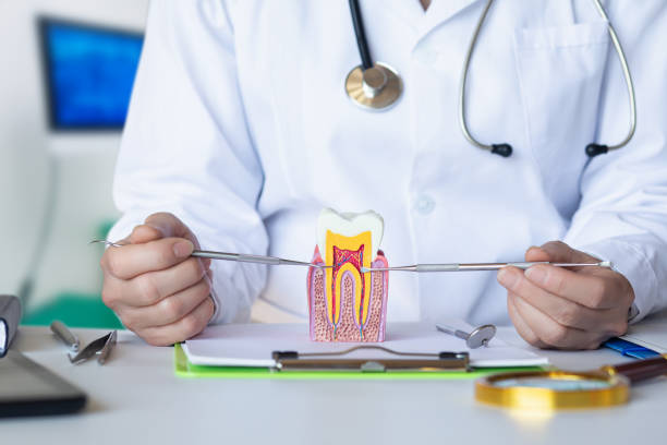 Best Emergency Denture Repair in Maben, MS